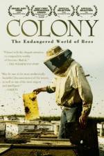 Watch Colony Movie4k