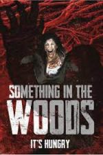 Watch Something in the Woods Movie4k