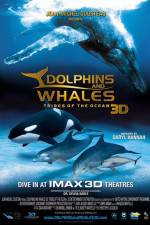 Watch Dolphins and Whales 3D Tribes of the Ocean Movie4k