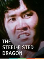 Watch Steel-Fisted Dragon Movie4k