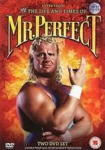 Watch The Life and Times of Mr. Perfect Movie4k