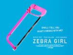 Watch Zebra Girl Movie4k