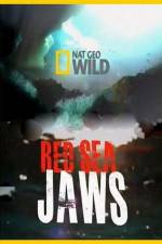 Watch National Geographic Red Sea Jaws Movie4k