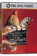 Watch The Natural History of the Chicken Movie4k