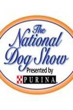 Watch National Dog Show Movie4k