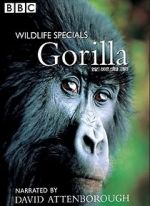 Watch Gorilla Revisited with David Attenborough Movie4k