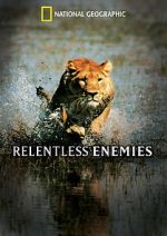 Watch Relentless Enemies Movie4k