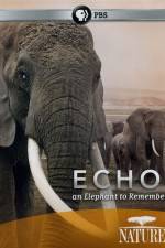 Watch Echo: An Elephant to Remember Movie4k