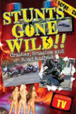 Watch Stunts Gone Wild: Crashes, Smashes & Road Rashes! Movie4k