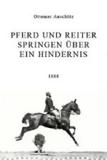 Watch Pferd und Reiter Springen ber ein Hindernis Movie4k