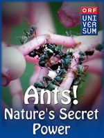 Watch Ants: Nature\'s Secret Power Movie4k