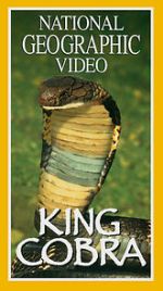 Watch King Cobra Movie4k