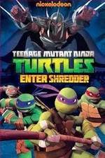 Watch Teenage Mutant Ninja Turtles: Enter Shredder Movie4k