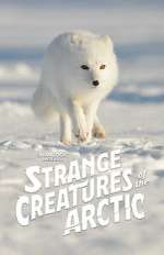 Watch Strange Creatures of the Arctic (TV Special 2022) Movie4k