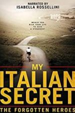 Watch My Italian Secret: The Forgotten Heroes Movie4k