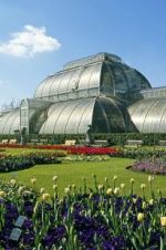 Watch Cruickshank on Kew: The Garden That Changed the World Movie4k
