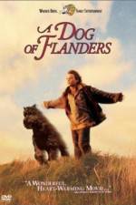 Watch A Dog of Flanders Movie4k