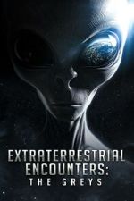 Watch Extraterrestrial Encounters: The Greys Movie4k