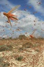 Watch Swarm Chasers: Locusts Movie4k