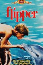 Watch Flipper Movie4k