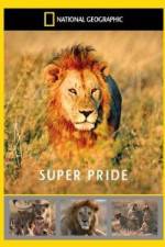 Watch National Geographic: Super Pride  Africa's Largest Lion Pride Movie4k