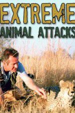 Watch Extreme Animal Attacks Movie4k