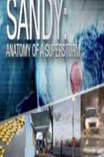 Watch Sandy Anatomy Of A Superstorm Movie4k