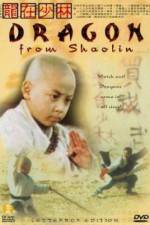 Watch Long zai Shaolin Movie4k