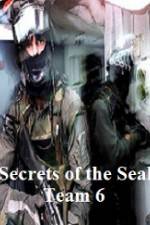 Watch Discovery Channel Secrets of Seal Team 6 Movie4k