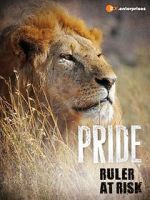 Watch Pride - Ruler\'s at Risk Movie4k