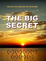 Watch The Big Secret Movie4k