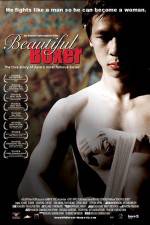 Watch Beautiful Boxer Movie4k