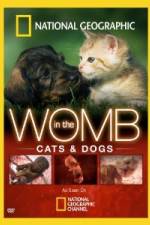 Watch National Geographic In The Womb  Cats Movie4k