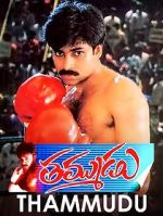 Watch Thammudu Movie4k