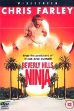 Watch Beverly Hills Ninja Movie4k