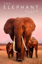 Watch The Elephant Queen Movie4k