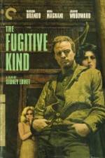 Watch The Fugitive Kind Movie4k