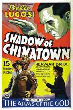 Watch Shadow of Chinatown Movie4k