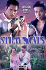 Watch Stray Cats Movie4k