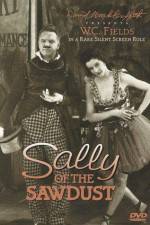 Watch Sally of the Sawdust Movie4k
