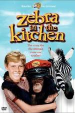 Watch Zebra in the Kitchen Movie4k