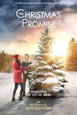 Watch The Christmas Promise Movie4k