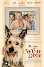 Watch Because of Winn-Dixie Movie4k