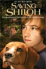 Watch Saving Shiloh Movie4k