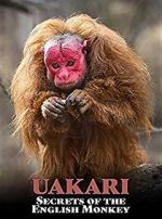 Watch Uakari: Secrets of the English Monkey Movie4k