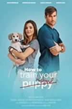Watch How to Train Your Husband or (How to Pick Your Second Husband First) Movie4k