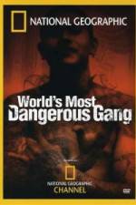 Watch National Geographic World's Most Dangerous Gang Movie4k