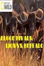 Watch National Geographic - Blood Rivals: Lion vs. Buffalo Movie4k