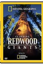 Watch National Geographic Explorer: Climbing Redwood Giants Movie4k