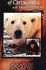 Watch The Polar Bears of Churchill with Ewan McGregor Movie4k